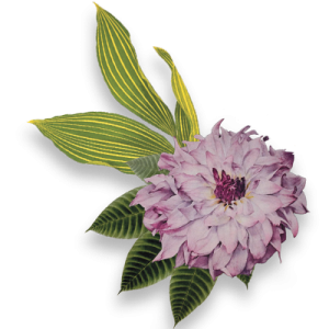 jane_apothecary_flor_about_01_v3 jane_apothecary_flor_about_01_v3